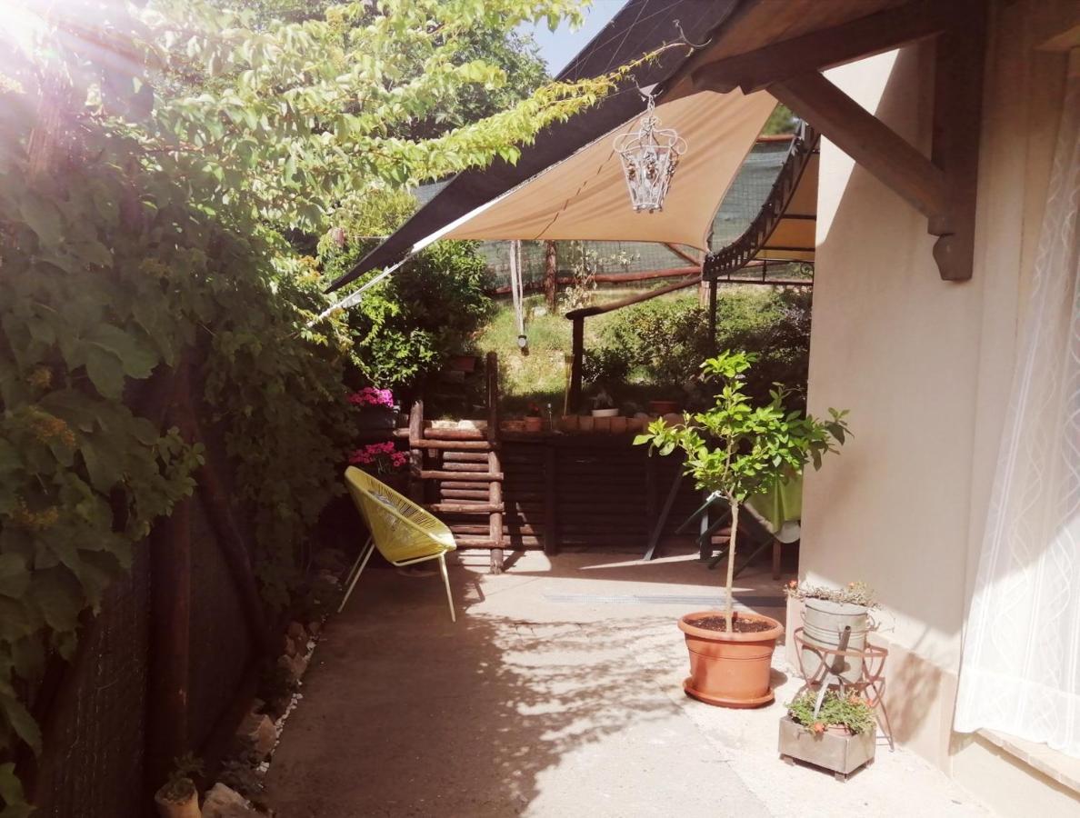 Lazita B&B Montecastrilli Exterior photo